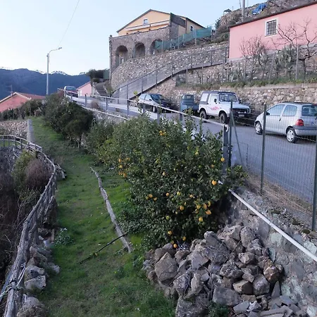 Dell'erta